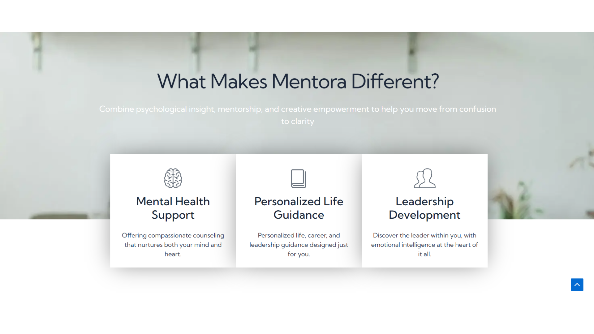 Website design 22